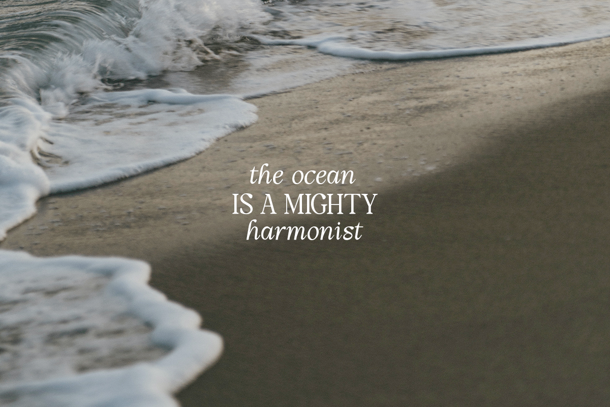 Fearlessly Authentic - Nineties Font, a Serif Font by Dharmas Foundry (Photo 9 of 15)