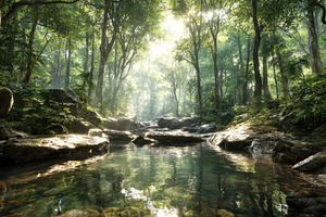 Forest stream with sunlight filterin, a Photo by Pavel_design