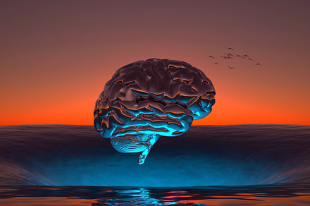 human brain over sea sunset
