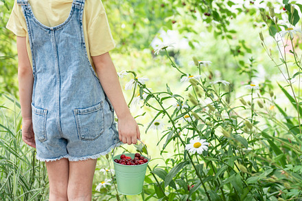 Little girl is picking cherries in the garden., a Food & Drink Photo by Olena Rudo
