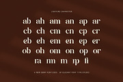 Gareng Elegant Serif Font, a Serif Font by Elegant Font (Thumbnail 8 of 8)