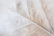 hair wave and beauty logo minimalist, a Branding & Logo Template by Mariyana (Thumbnail 3 of 4)