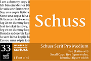 SchussSerifProMedium No.33 (1 Font), a Serif Font by typic schuss (Thumbnail 1 of 6)