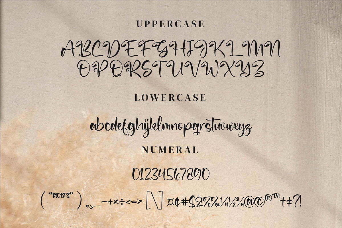 The Spirit, a Script Font by Integritype Studio (Photo 8 of 14)