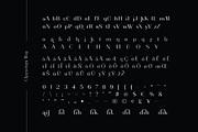 CF Alithan Sans - Modern Elegant, a Sans Serif Font by Indotype Foundry (Thumbnail 2 of 10)