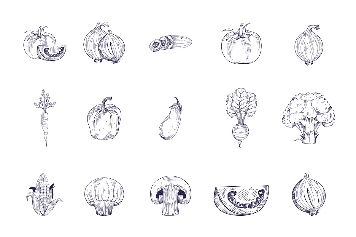 Hand Drawn Food Illustration Set