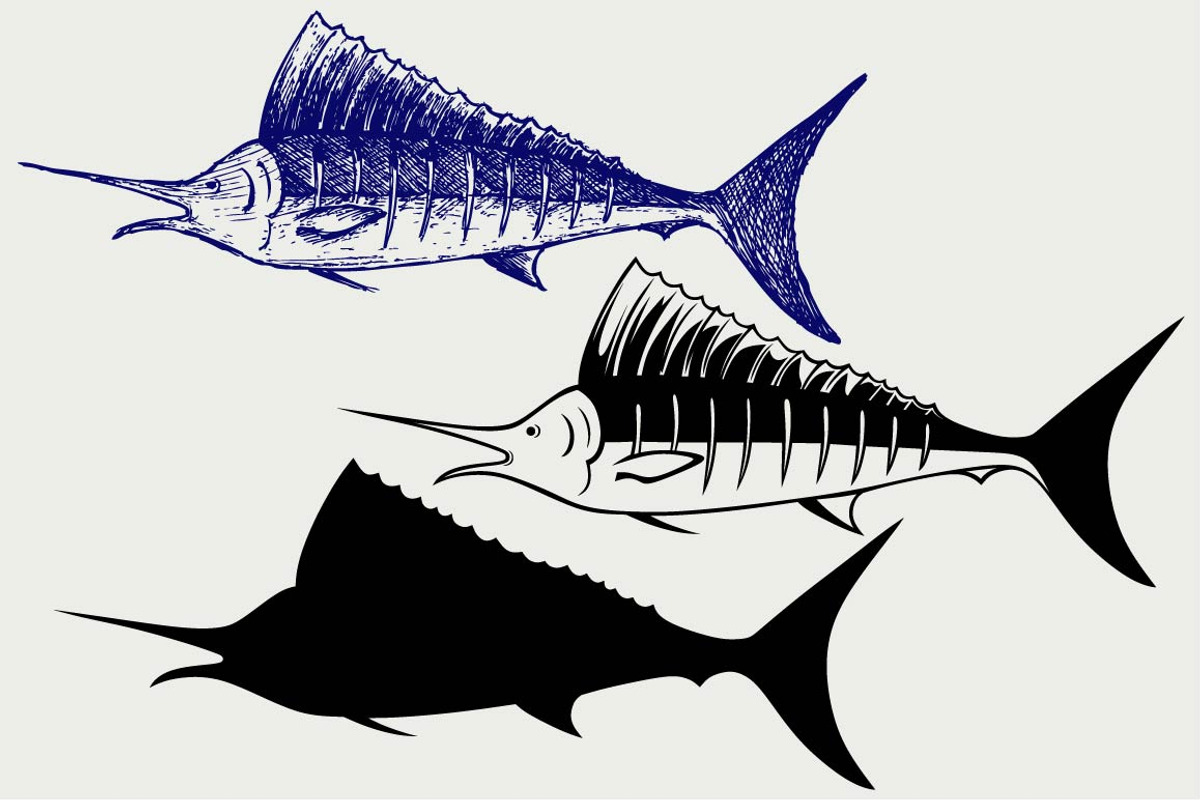 Sailfish saltwater fish SVG, an Outline Icon by LineworkStock