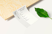 Sales Assistant Creative Resume, a Resume Template by HIRED Design Studio (Thumbnail 13 of 15)