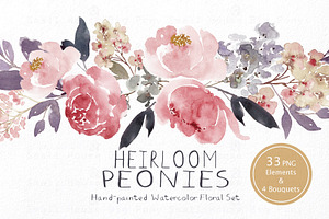 Heirloom Peonies - Watercolor Floral