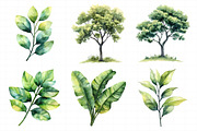 Green Trees and Leaves Clipart, an Illustration by Daily.Designs (Thumbnail 6 of 8)