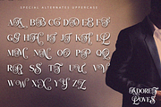 Adoret Loves, a Serif Font by Say Studio (Thumbnail 13 of 14)