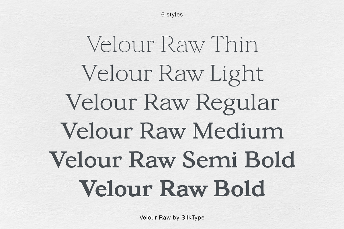 Velour Raw - 6 font famliy, a Serif Font by Silktype (Photo 6 of 11)