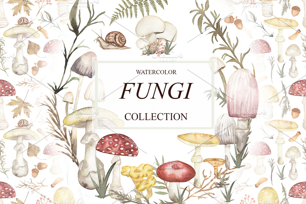 Watercolor Mushrooms Collection, an Education Illustration by MayaNavits (Photo 1 of 14)