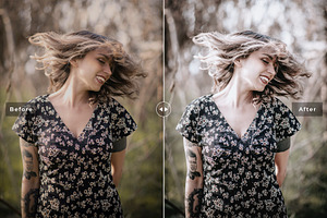 Ash Tone Pro Lightroom Presets