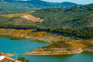 Iznajar from above with the reservoir and olive trees, a Photo by Nito