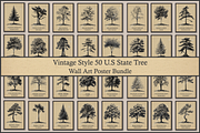 50 US State Tree Vintage Poster Set, a Decorative Illustration by Genius Graph (Thumbnail 1 of 6)