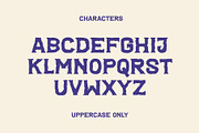 SFC Unionsigns, a Serif Font by Skilline Supply Co. (Thumbnail 2 of 8)