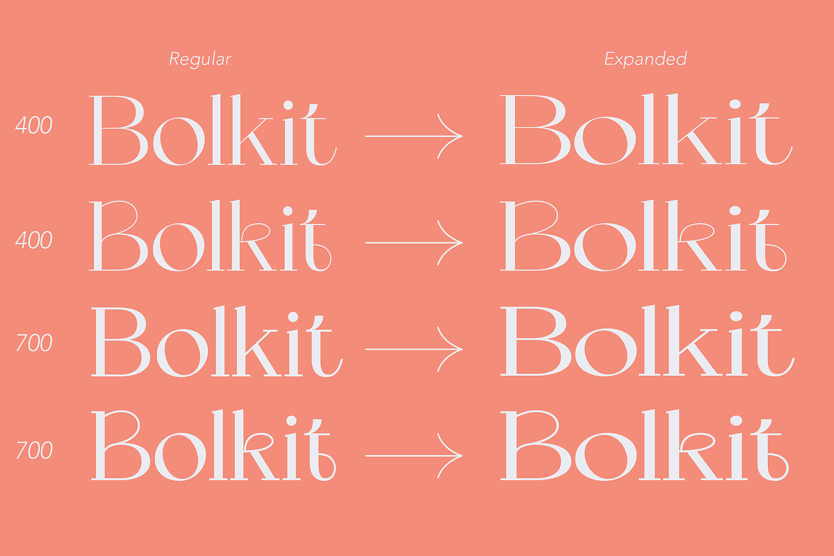 ZT Bolkit - Display Serif, a Serif Font by zelow type (Photo 5 of 15)