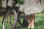 Script Font and Logos - Sage & Pink, a Script Font by pixelcolours (Thumbnail 15 of 17)