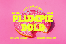 Plumpie Bold - Retro Display Font