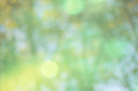 Light bokeh containing bokeh, light, and background preview 6