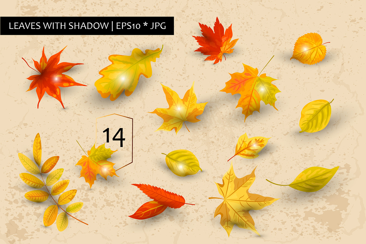 Autumn leaves vector collection, a Seasonal Illustration by VaraNa Art (Photo 3 of 15)