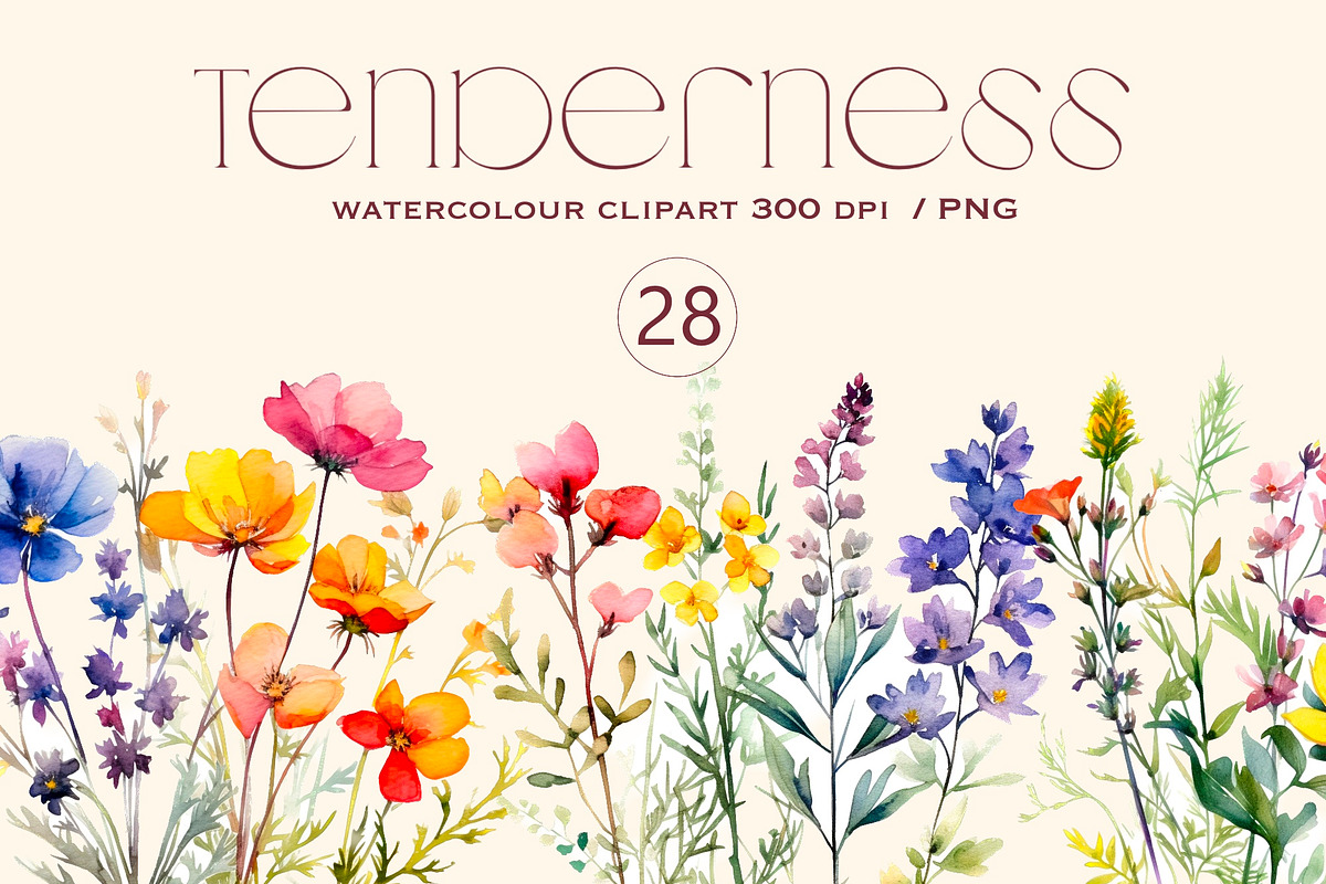 Tenderness, Delicate wildflowers, a Decorative Illustration by Hello My Print (Photo 1 of 10)