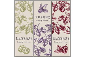Set of vintage hand drawn blackberry raspberry vertical orientation banners. Vector illustration.