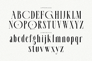 Cerova, a Serif Font by saemoon creative (Thumbnail 10 of 15)