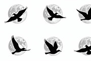 Flying Bird Silhouette Bundle, an Illustration by jahid234 (Thumbnail 3 of 10)