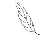 Feather bird line art sketch vector, an Animal Illustration by Art By ...