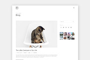 Minimalist WordPress Theme - Minilio, a WordPress Template by themenow (Thumbnail 6 of 8)
