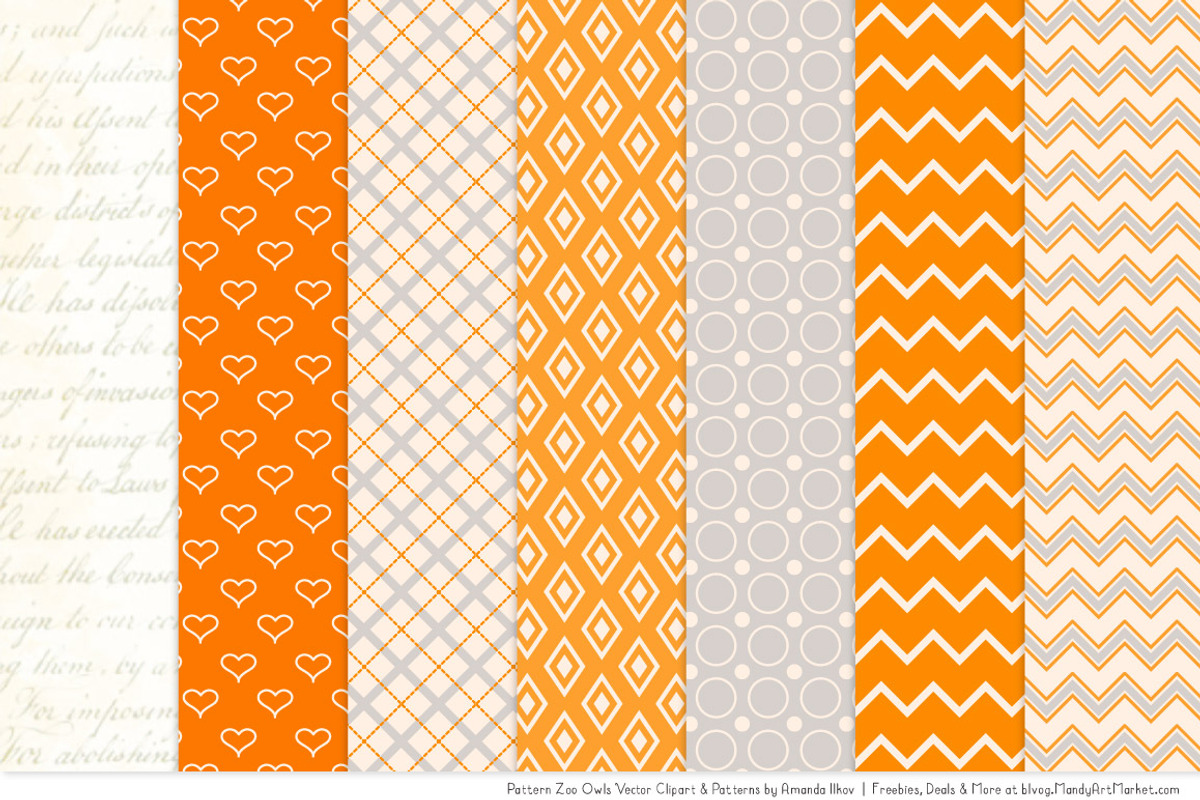 Owls Clipart & Patterns in Tangerine, an Animal Illustration by Amanda Ilkov (Photo 4 of 4)