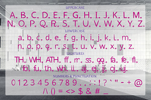 PRORNET - Handwritten Font