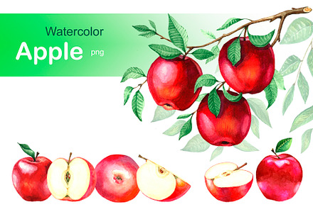 Watercolor apples. Collection.