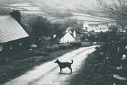 Risograph Grain Photo Effect, a Layer Style Add-On by Design Squad (Thumbnail 2 of 8)