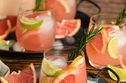 fresh grapefruit and lime cocktail, a Food & Drink Photo by Apolonia