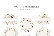 POPPY & BARLEY Autumn Wildflowers, a Seasonal Illustration by Muse Artist (Thumbnail 10 of 14)