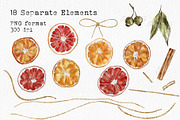 Watercolor Citrus Ornaments Clipart, an Illustration by lilisprints (Thumbnail 2 of 7)
