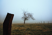 Foggy Day Lightroom Preset, an Action Add-On by Daniel Bartel (Thumbnail 3 of 7)