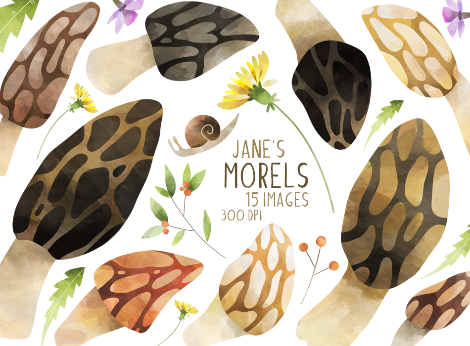 Watercolor Morels Clipart, an Illustration by DigitalArtsi
