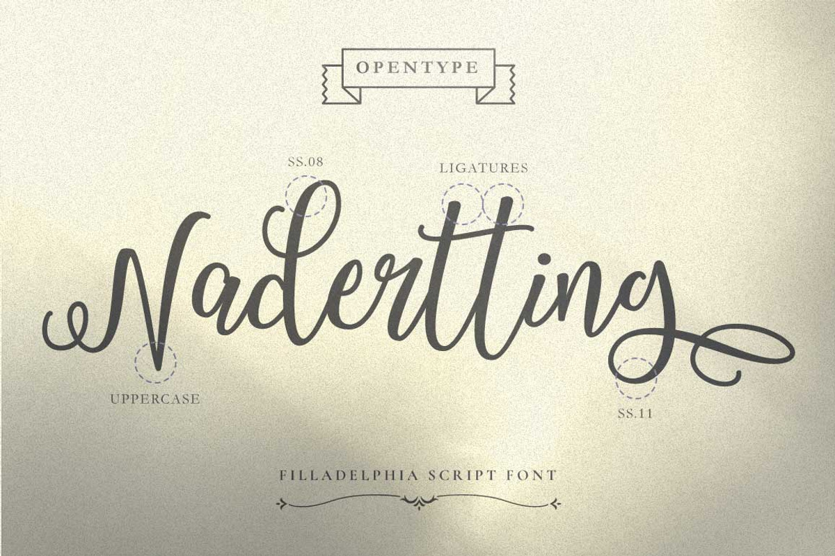 Filladelphia - Beautiful Script, a Script Font by Dirtytemp Studio (Photo 6 of 10)