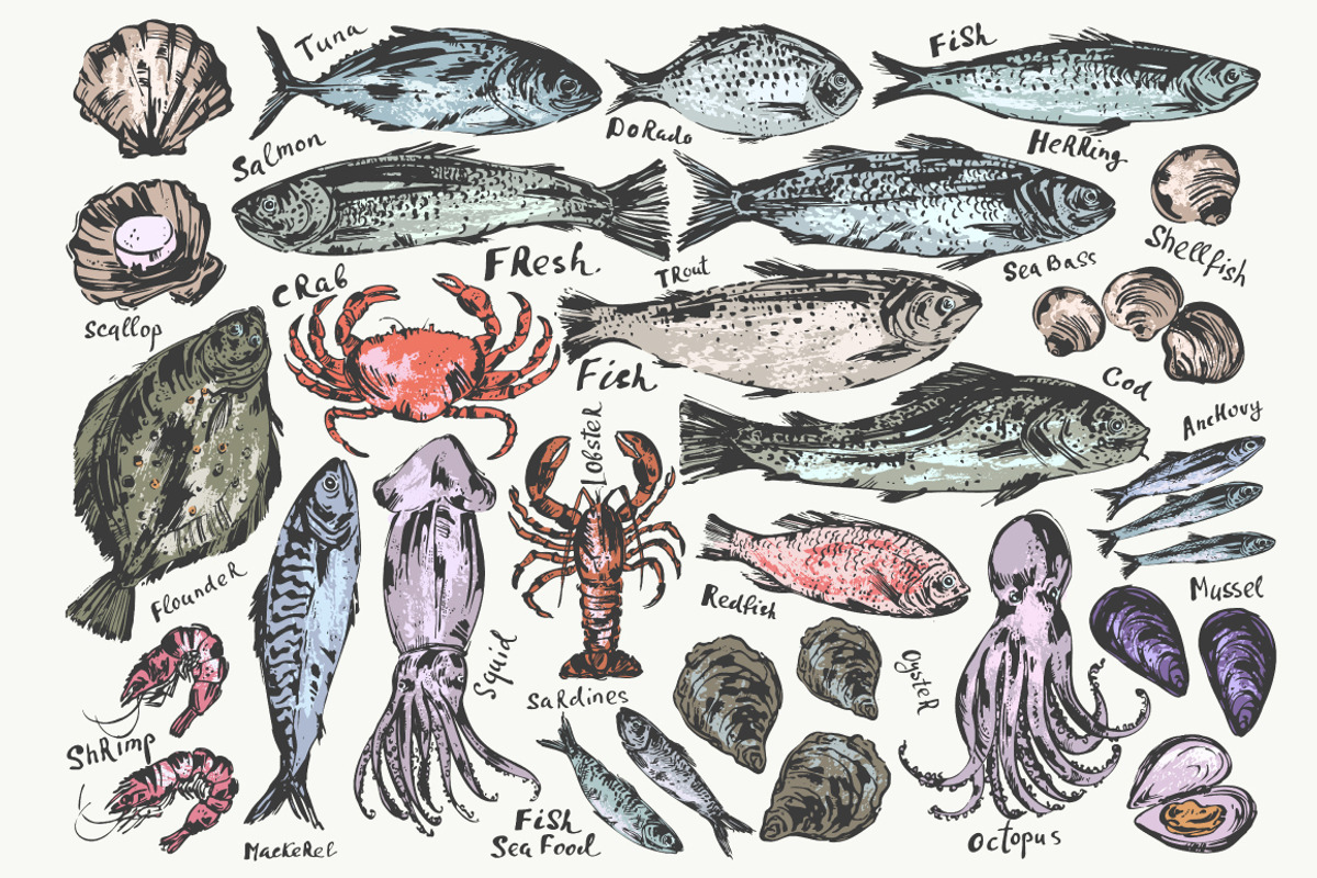 Fish and seafood sketches, a Food Illustration by katya.bogina (Photo 1 of 3)