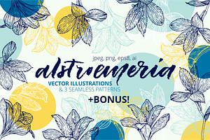 Hand drawn alstroemeria vector set