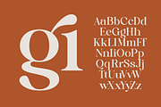 Quika Calletto Modern Serif Font, a Serif Font by timelesstype.co (Thumbnail 12 of 20)