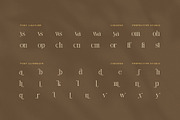 Cindows Elegant Ligature Serif Font, a Serif Font by Perfectype (Thumbnail 8 of 8)