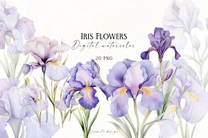 Iris Flowers