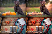 71 Autumn Lightroom Presets, an Action Add-On by Lensgrade.com (Thumbnail 6 of 12)