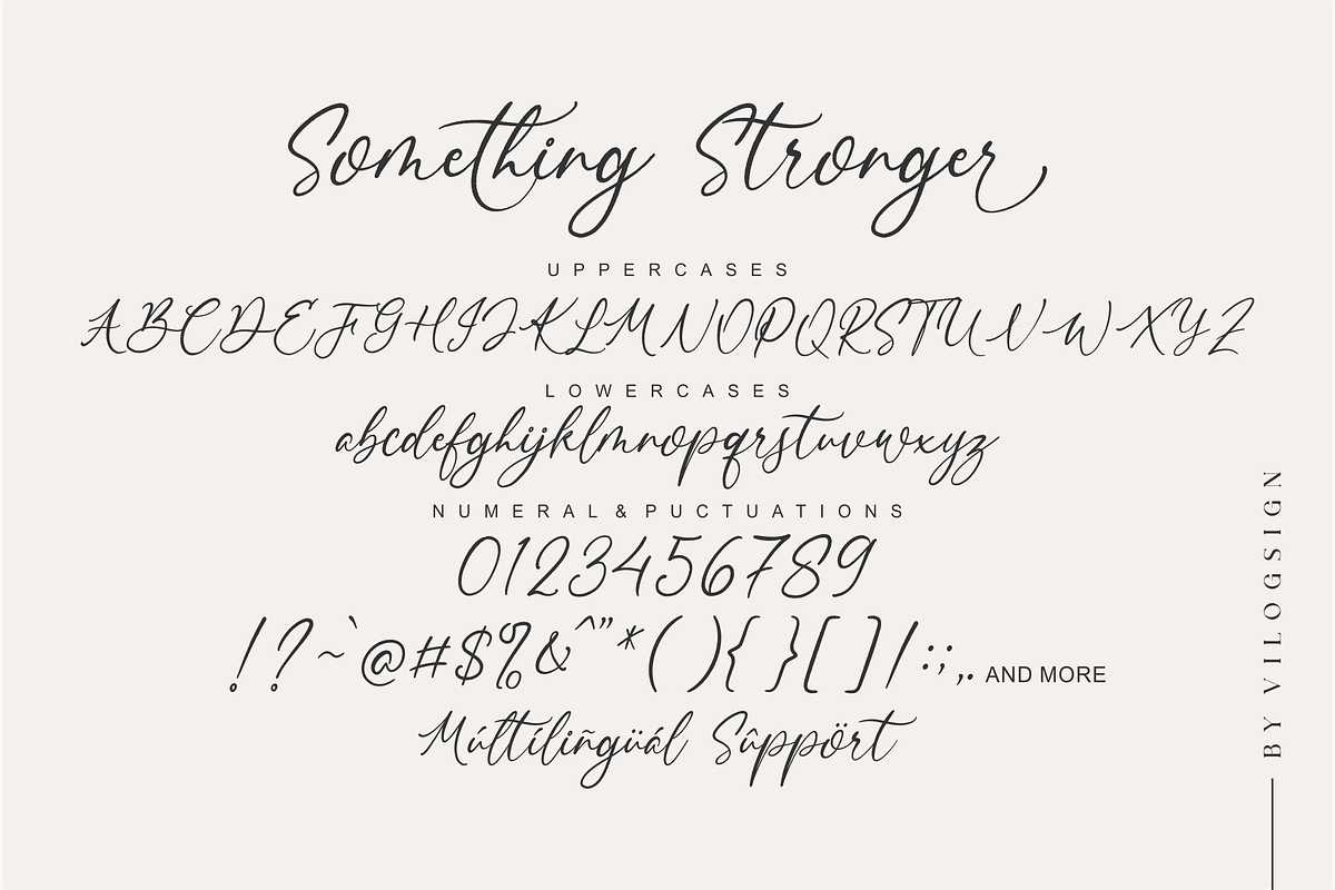 Something Stronger Handwritten Font, a Script Font by Vilogsign (Photo 8 of 9)