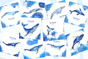 Watercolor whales, an Animal Illustration by Evgeniia Zagreeva (Thumbnail 3 of 5)